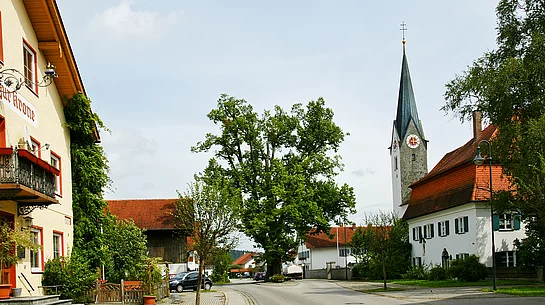 Linde von Aitrang