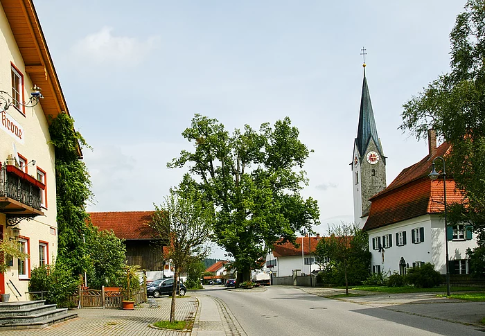 Linde von Aitrang